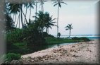 La plage Arrecifes dans le parc Tayrona