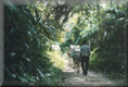 Un chemin dans le parc